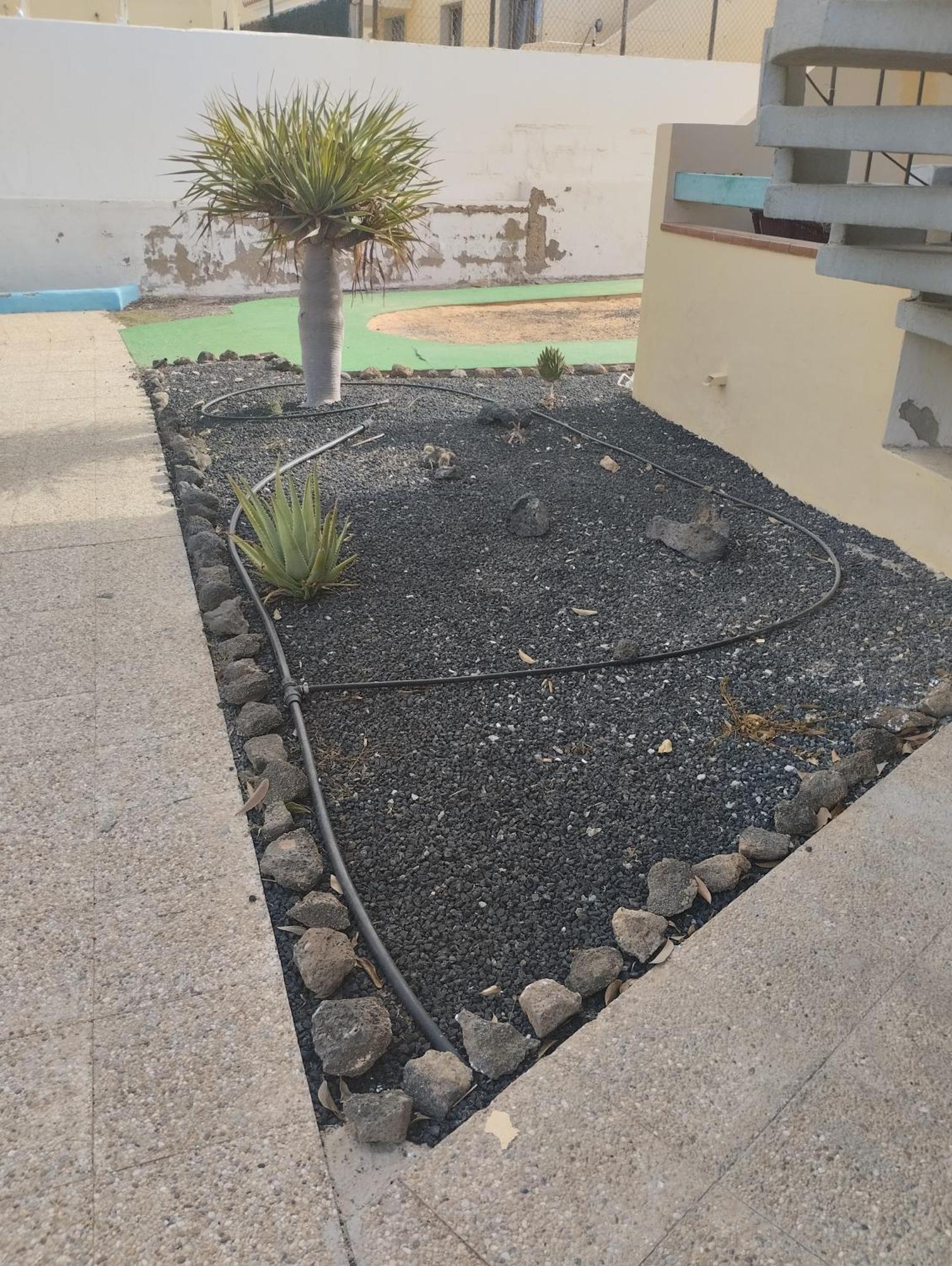 Apartamento Costa De Antigua Cerca De Caleta De Fuste エクステリア 写真